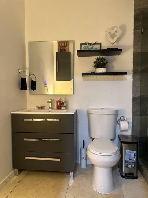 Flora'S Garden Apartment/Studio North Miami Bagian luar foto