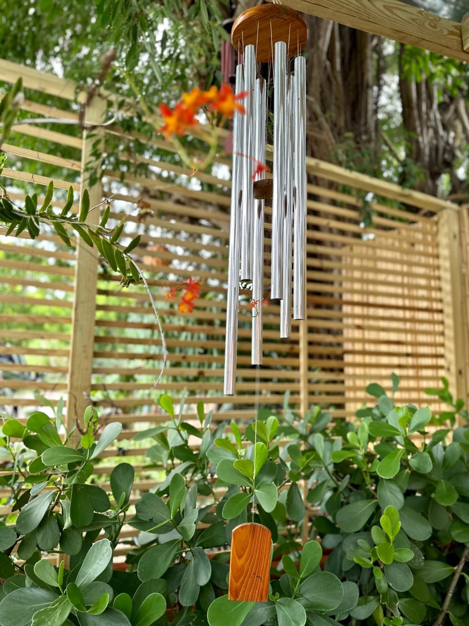 Flora'S Garden Apartment/Studio North Miami Bagian luar foto